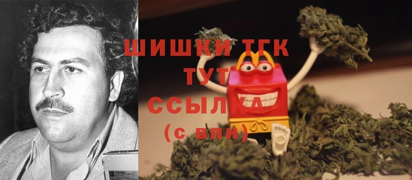 твердый Верхний Тагил