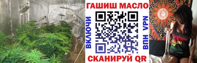 Купить закладки  Воронеж  Дистиллят ТГК концентрат 